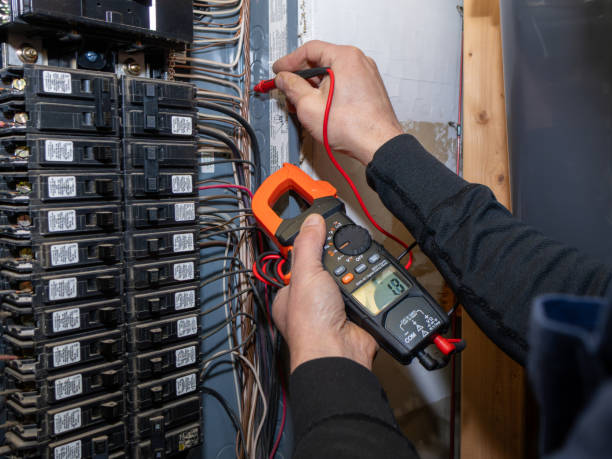 Best Electric Panel Repair  in Carrollton, TX